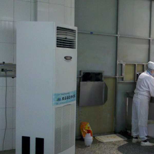 延安食品正负离子空气杀菌器